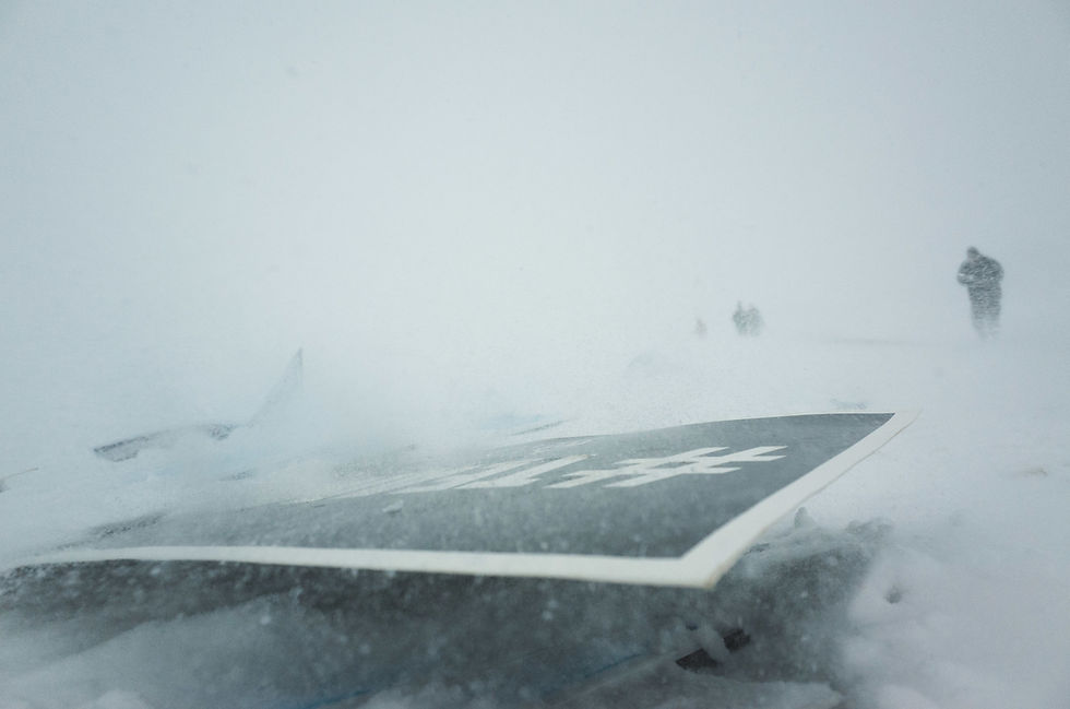 Blizzard Jonas in Washington DC: Winter Photo Essay: photograph 13 of 19