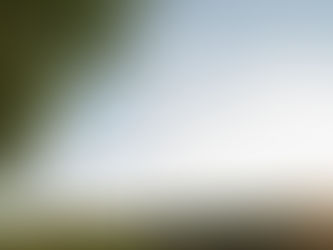 Maryland Sunflower Field Engagement Session