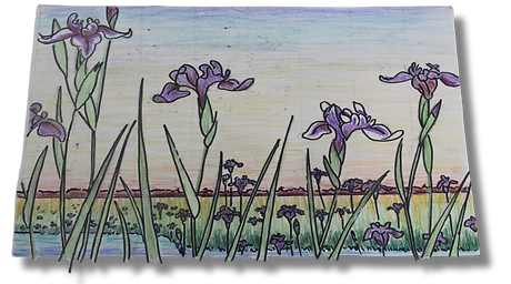the original sketch for the iris tile mural is based on a Japanese woodblock print