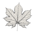 This maple leaf represents our commitment to the environment