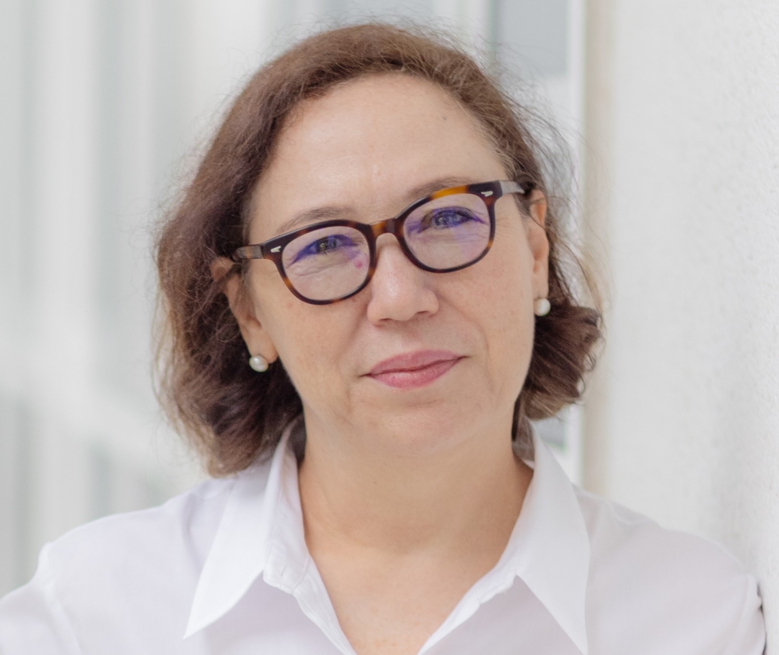 Writer: Ar. (Dr.) Serina Hijjas