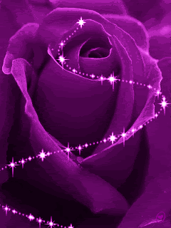 f0059221e9e0cf3ebee40b7831ad4643.gif