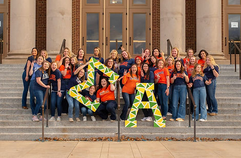 Group of Sigma Alpha sisters on the steps of Follenger