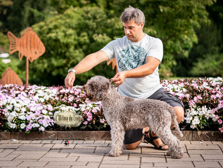 IDS Klagenfurt kiállítás Enzoval és Florence-vel, új fotókkal