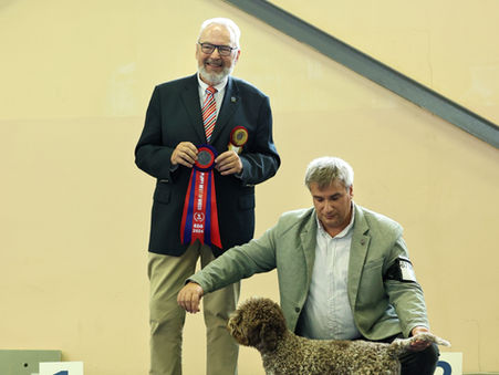 Pepsi European puppy winner lett