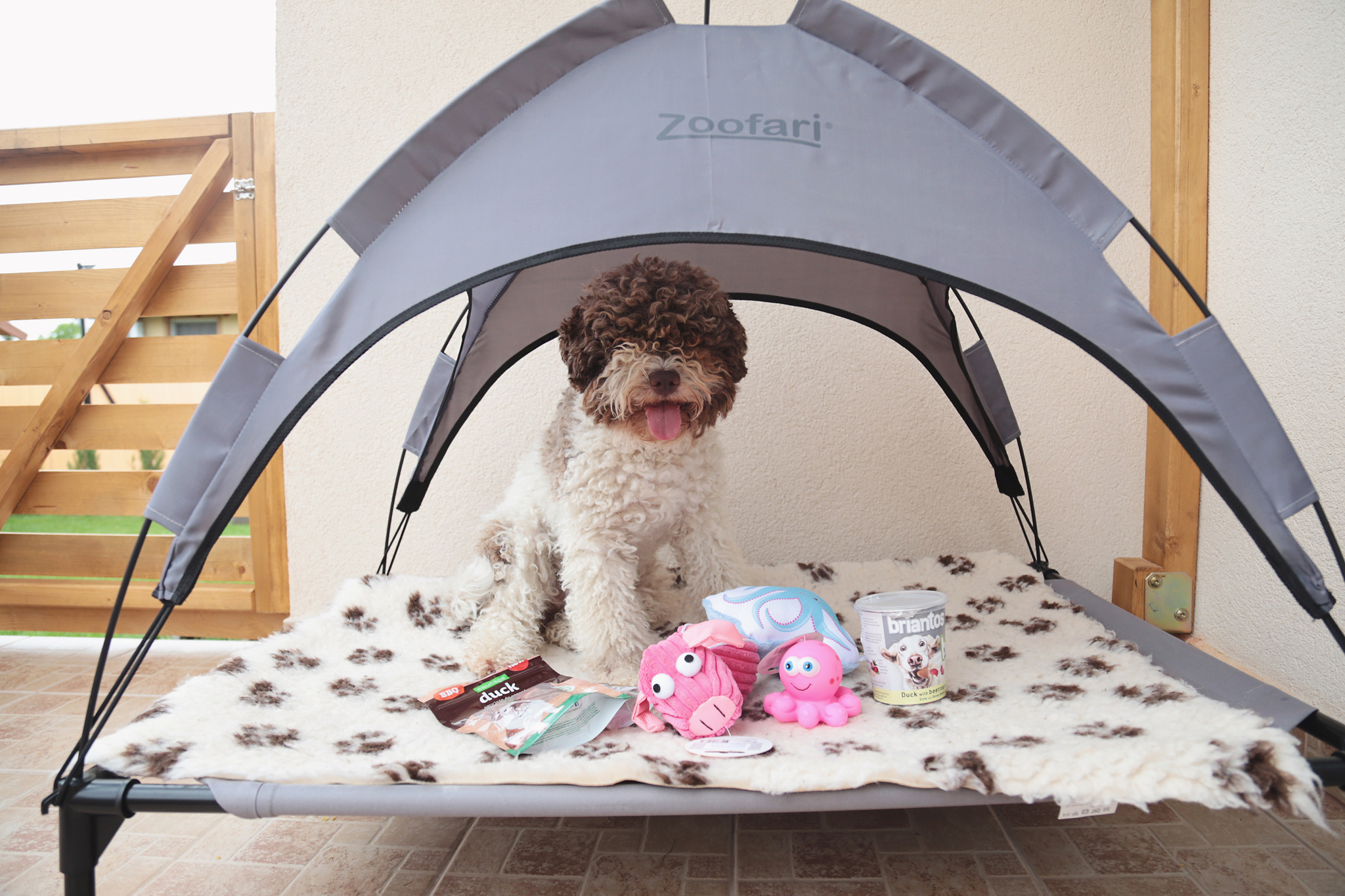 zoofari dog tent