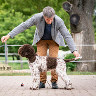 DSC07450lagotto.jpg