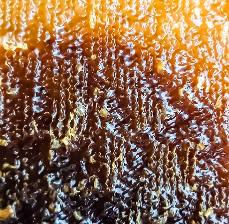 bigstock-Honeycomb-From-Bee-Hive-Filled-444748760.jpg