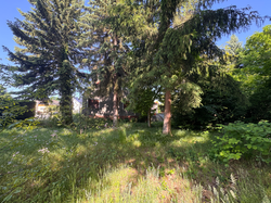 Garten 1