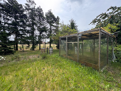 Garten 1