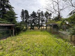 Garten 2