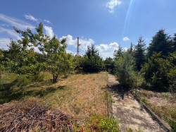 Garten 3
