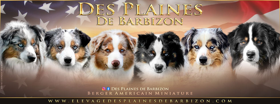 Montage couverture.jpg