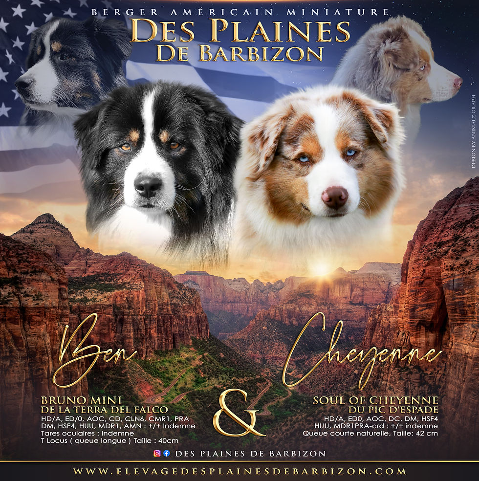 Montage Cheyenne Ben.jpg