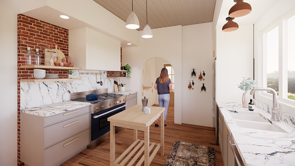 Kitchen - Opt 2 -1 (1).png