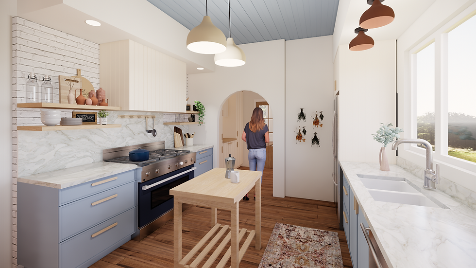 Kitchen - Opt 1 -1 (1).png