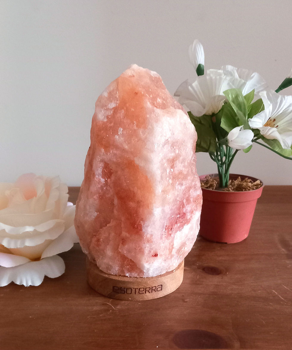 Miniature : Absorbe les énergies négatives d'une pièce 🔮 Lampe sel Himalaya 1,5/2 kg 