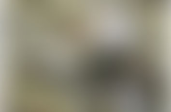 Dimanche 13 Août à Montroc