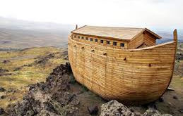 Sortie Falaise Dimanche 09 juillet