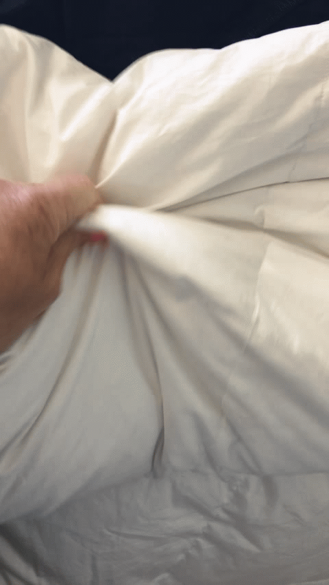 Crown Goose Duvet