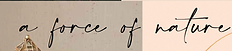 Website_Page_11.png