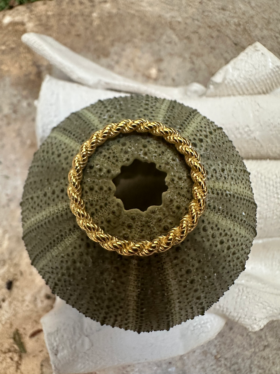 Miniatura: Anillo SHANI