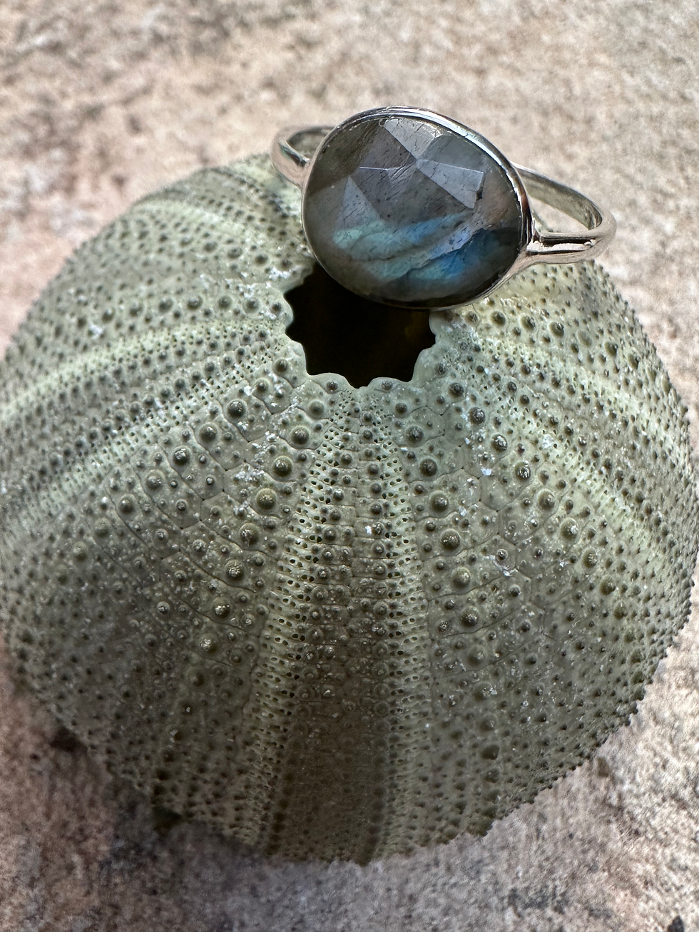 Miniatura: Anillo DHARMA