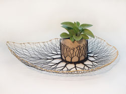 coupe-feuille-plante-5