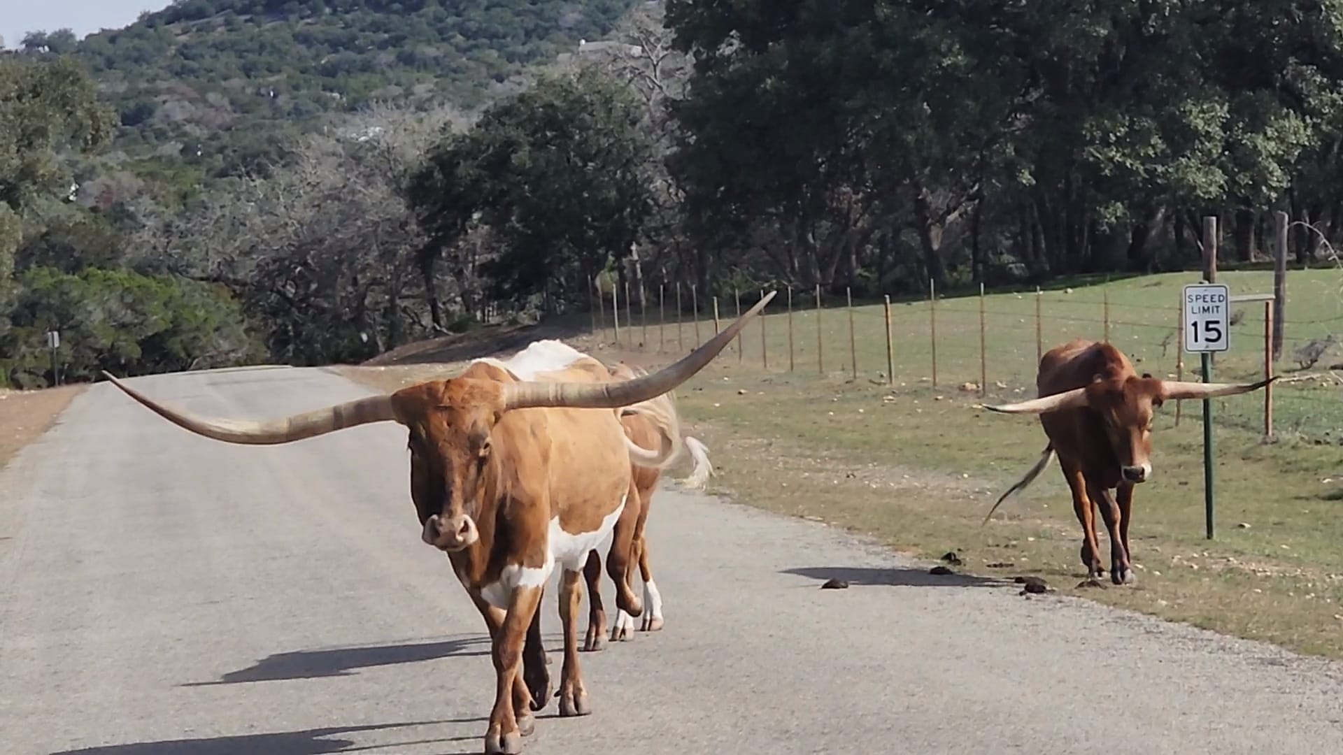 Lake Medina RV Resort photo 2