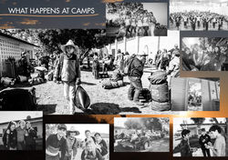 Moorambilla 2017_LR16