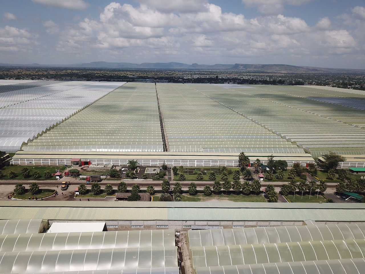 Drone foto Herburg Roses Ethiopie