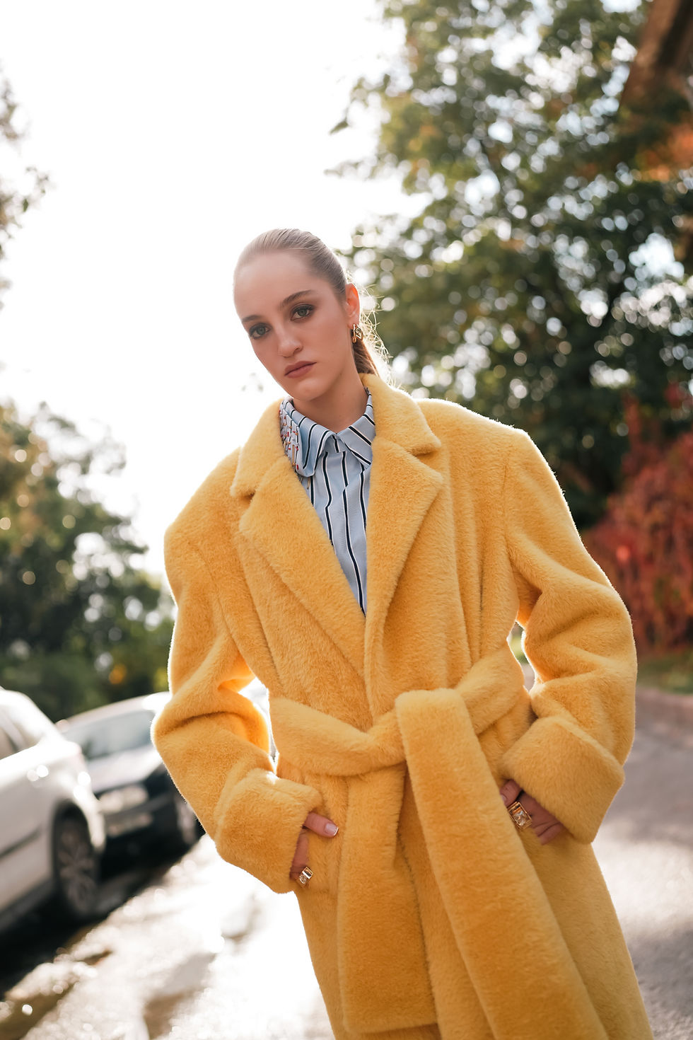 Thumbnail: Suni Kürk Kaban