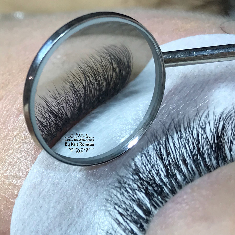 Vegan Eyelash Extensions, Lash Lifts & PhiBrows Microblading in Torquay Torbay Devon UK