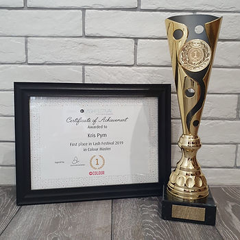 1st Place Colour Master Lash Festival Competition Trophy