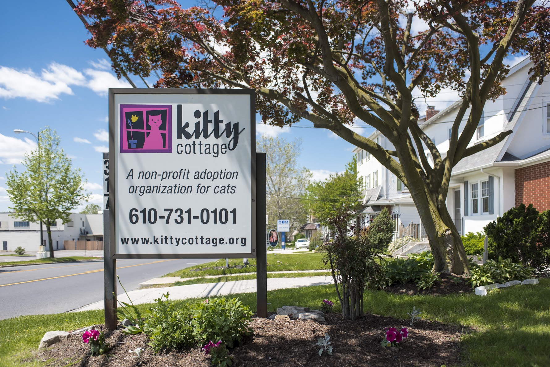 Kitty Cottage Adoption Center About Us