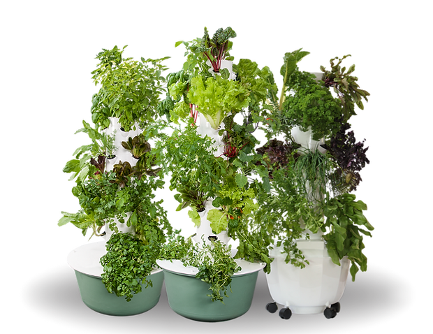 Copia de Banners página (1800 x 900 px) (Tu historia) (1).png