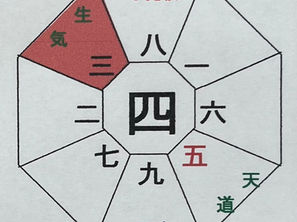 6月 四緑木星 甲午月(6/6~7/6) の運勢