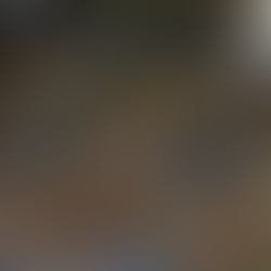 De Lente Ontluikt: Alliums zijn aan het uitschieten 