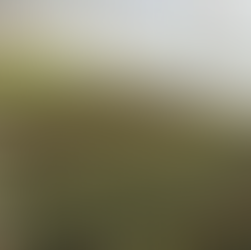 De eerste planten zijn opgepot bij Aarts Tuinplanten 