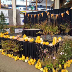 Planten bij ponyconcours Asten 