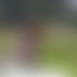 Biologische planten kwekerij