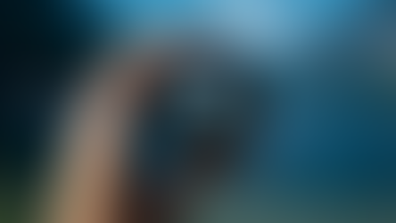 תשומת לב ואנרגיה     