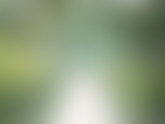 Is Tubular Fencing Worth the Investment?