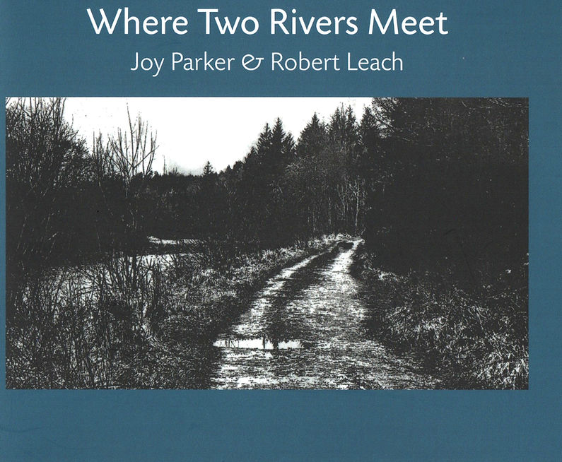 Where two Rivers Meet book cover_edited.