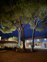 Cours du Mas de Nuit