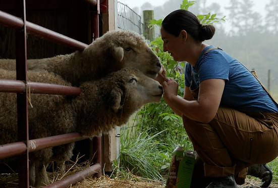 Lenore w 2 sheep.jpg