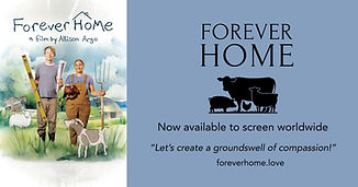Poster Email Graphic Forever Home.jpg