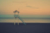 Lifeguard Tower