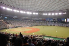 野球観戦!!
