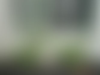 自然がたくさん！